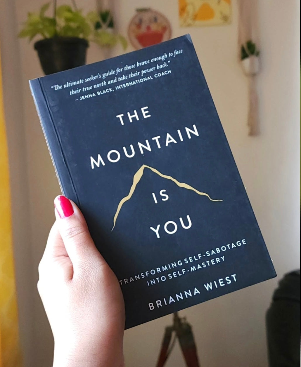 The Mountain Is You: Transforming Self-Sabotage Into Self-Mastery